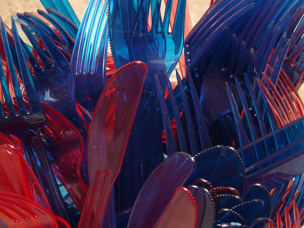 The Impact of Single-Use Plastic on Our Ecosystem